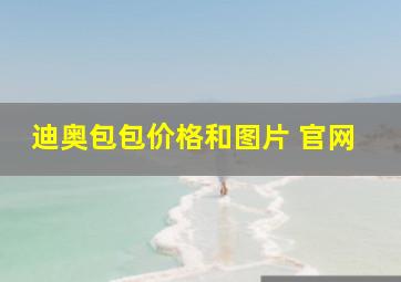 迪奥包包价格和图片 官网